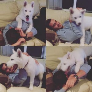 Julian Kostov avec son chien husky